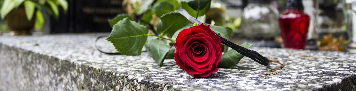 Rose auf Grabstein